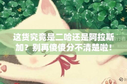 這貨究竟是二哈還是阿拉斯加？別再傻傻分不清楚啦！ 