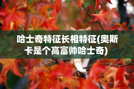 哈士奇特征長相特征(奧斯卡是個高富帥哈士奇) 