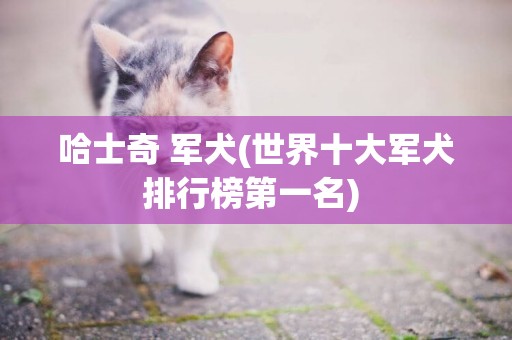 哈士奇 軍犬(世界十大軍犬排行榜第一名) 
