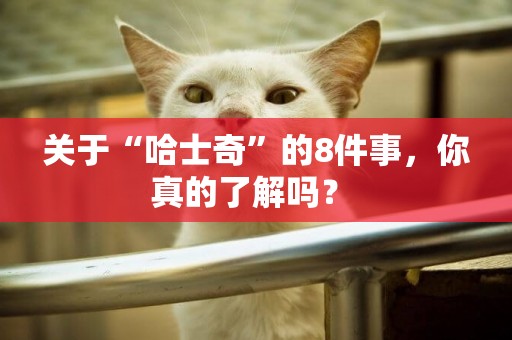 關于“哈士奇”的8件事，你真的了解嗎？ 
