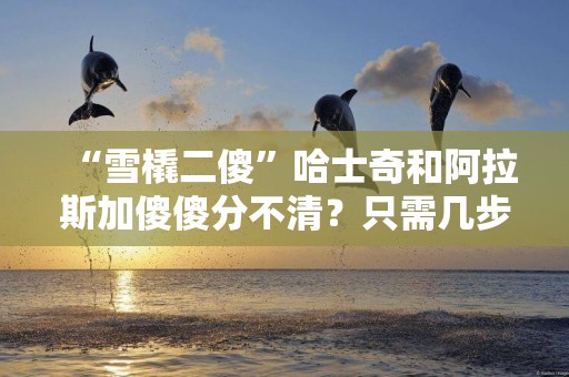 “雪橇二傻”哈士奇和阿拉斯加傻傻分不清？只需幾步解決你的困惑 
