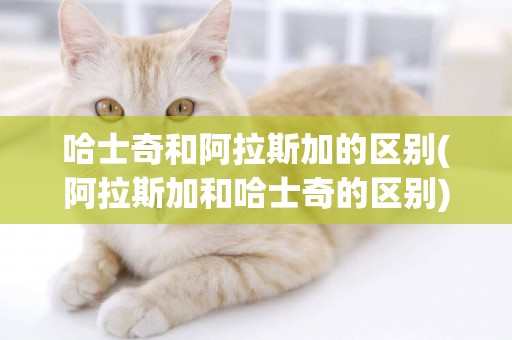 哈士奇和阿拉斯加的區別(阿拉斯加和哈士奇的區別) 