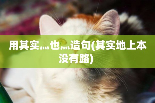 用其實灬也灬造句(其實地上本沒有路) 