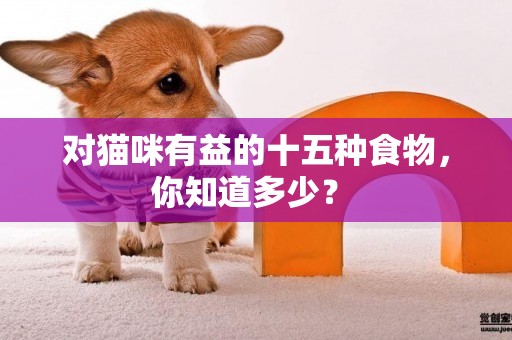 對貓咪有益的十五種食物，你知道多少？ 