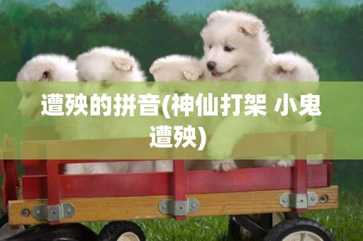遭殃的拼音(神仙打架 小鬼遭殃) 