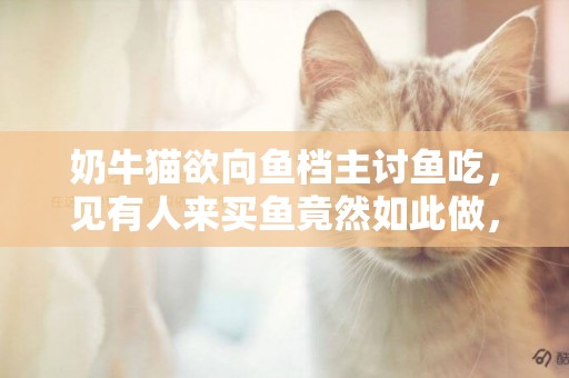 奶牛貓欲向魚檔主討魚吃，見有人來買魚竟然如此做，真是太聰明了 