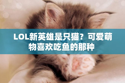 LOL新英雄是只貓？可愛萌物喜歡吃魚的那種 
