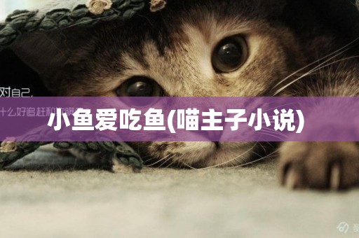 小魚愛吃魚(喵主子小說) 