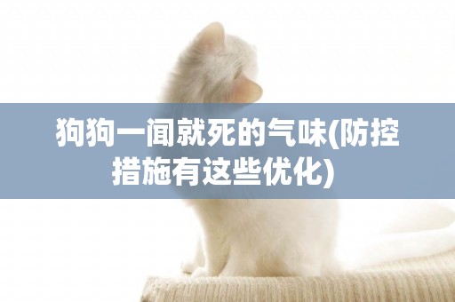 狗狗一聞就死的氣味(防控措施有這些優化) 