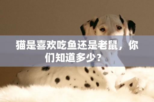 貓是喜歡吃魚還是老鼠，你們知道多少？ 