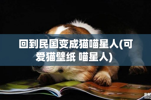 回到民國變成貓喵星人(可愛貓壁紙 喵星人) 