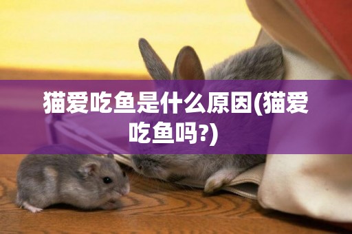 貓愛吃魚是什么原因(貓愛吃魚嗎?) 
