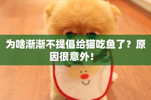為啥漸漸不提倡給貓吃魚了？原因很意外！ 