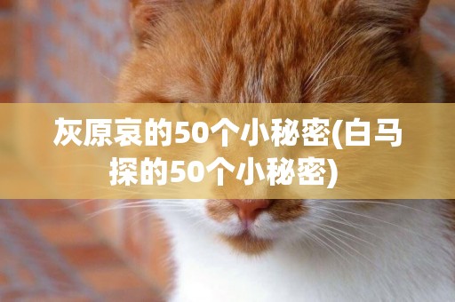 灰原哀的50個小秘密(白馬探的50個小秘密) 