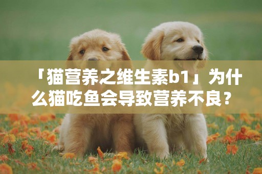 「貓營養之維生素b1」為什么貓吃魚會導致營養不良？ 