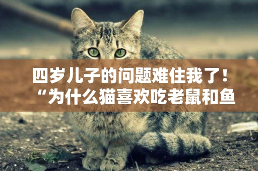 四歲兒子的問題難住我了！“為什么貓喜歡吃老鼠和魚”...... 