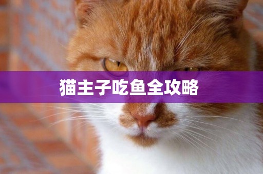貓主子吃魚全攻略 