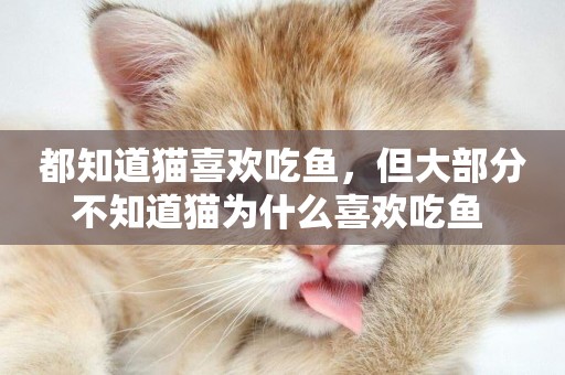 都知道貓喜歡吃魚，但大部分不知道貓為什么喜歡吃魚 
