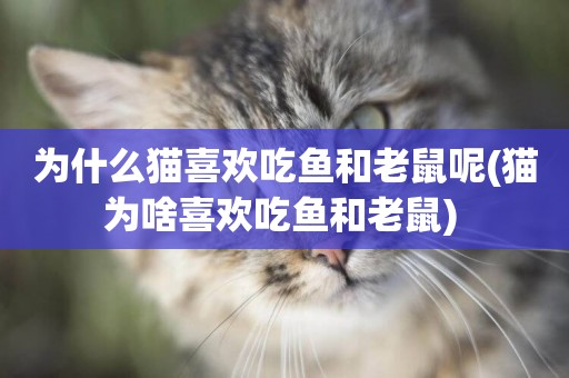 為什么貓喜歡吃魚和老鼠呢(貓為啥喜歡吃魚和老鼠) 