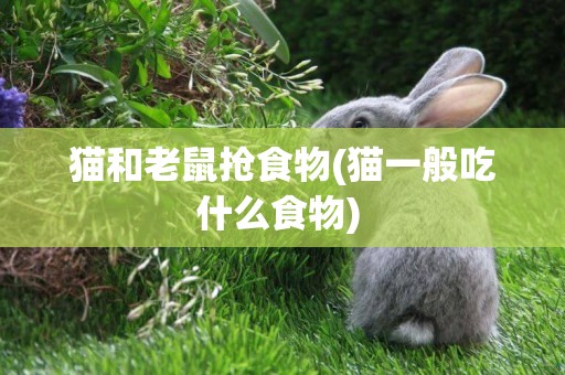貓和老鼠搶食物(貓一般吃什么食物) 
