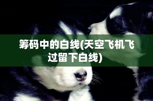 籌碼中的白線(天空飛機飛過留下白線) 