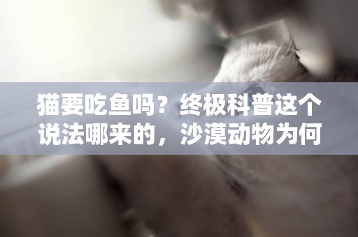 貓要吃魚嗎？終極科普這個說法哪來的，沙漠動物為何會愛吃魚 