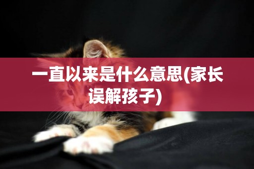 一直以來是什么意思(家長誤解孩子) 