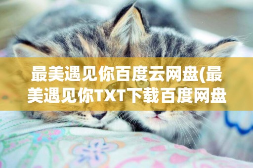 最美遇見你百度云網盤(最美遇見你TXT下載百度網盤) 