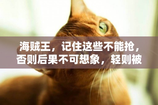 海賊王，記住這些不能搶，否則后果不可想象，輕則被打，重則丟命 