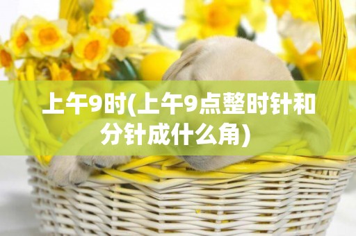 上午9時(上午9點整時針和分針成什么角) 