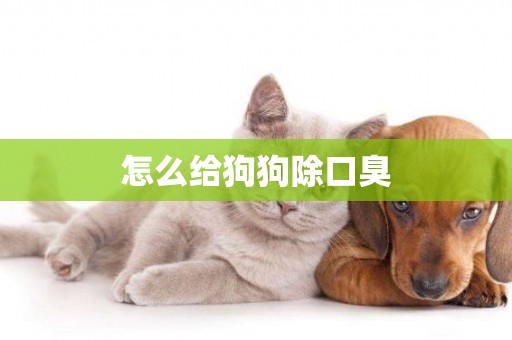 怎么給狗狗除口臭