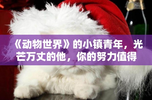 《動物世界》的小鎮青年，光芒萬丈的他，你的努力值得所有人肯定 