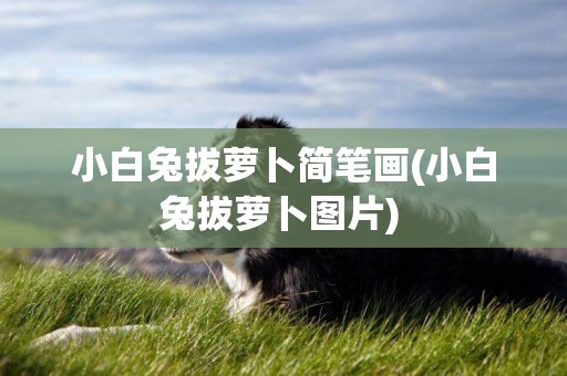 小白兔拔蘿卜簡筆畫(小白兔拔蘿卜圖片) 