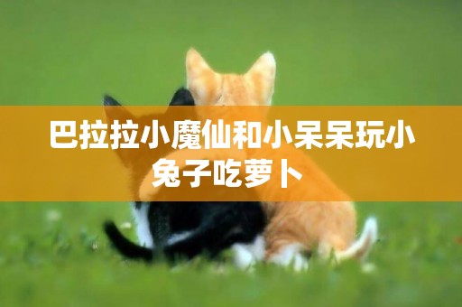 巴拉拉小魔仙和小呆呆玩小兔子吃蘿卜 