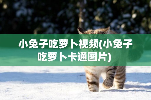 小兔子吃蘿卜視頻(小兔子吃蘿卜卡通圖片) 