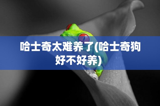 哈士奇太難養了(哈士奇狗好不好養) 