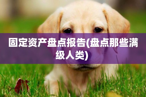 固定資產盤點報告(盤點那些滿級人類) 