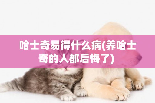 哈士奇易得什么病(養哈士奇的人都后悔了) 