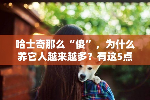 哈士奇那么“傻”，為什么養它人越來越多？有這5點原因 