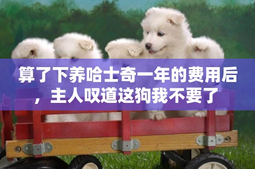 算了下養哈士奇一年的費用后，主人嘆道這狗我不要了 