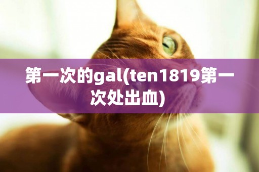 第一次的gal(ten1819第一次處出血) 
