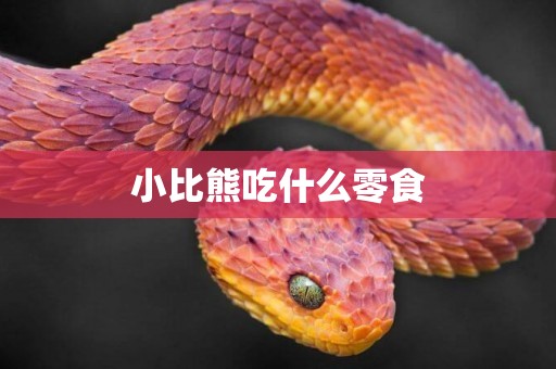 小比熊吃什么零食