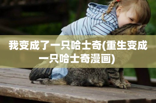 我變成了一只哈士奇(重生變成一只哈士奇漫畫) 