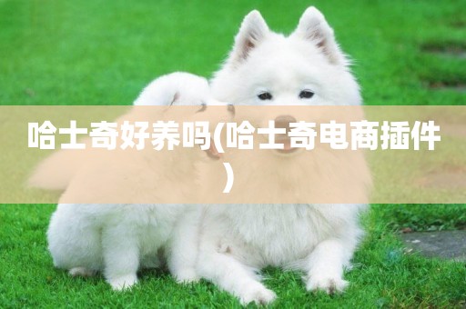 哈士奇好養嗎(哈士奇電商插件) 