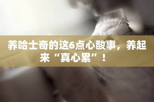 養哈士奇的這6點心酸事，養起來“真心累”！ 
