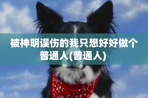 被神明誤傷的我只想好好做個普通人(普通人) 