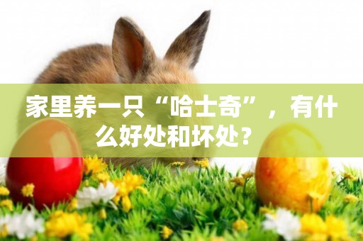 家里養一只“哈士奇”，有什么好處和壞處？ 