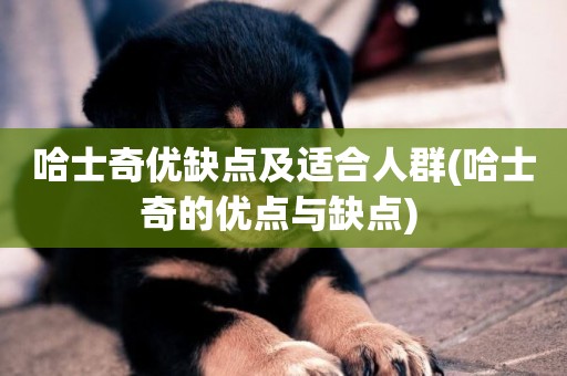 哈士奇優缺點及適合人群(哈士奇的優點與缺點) 