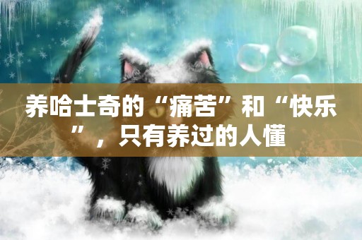 養哈士奇的“痛苦”和“快樂”，只有養過的人懂 