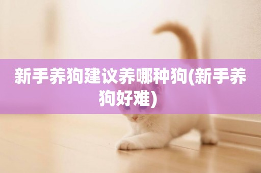 新手養狗建議養哪種狗(新手養狗好難) 